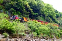 嵯峨野のトロッコ列車が運賃値上げへ…630円→880円　4月1日予定 画像