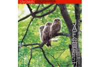 路上観察でみつけた、ユニーク標識&看板 画像