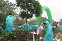 横浜ゴム、中国のタイヤ生産拠点で植樹祭を開催 画像
