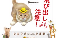 猫の交通事故なくせ…キャットストリートに光る「飛び出し注意」看板 画像