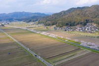 地域の足となる自動運転サービス、導入を技術面で支援 国交省が募集 画像