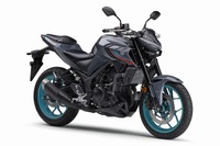 ヤマハ MT-25、2022年モデル発売へ…排ガス規制適合、カラー&グラフィックも変更 画像
