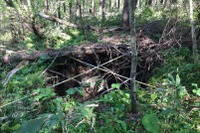 北海道新幹線渡島トンネル、現場復旧まで相当の日数か?…直径約5m、深さ約4mの地表陥没を確認 画像