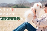 「わんちゃん専用バス」で愛犬とお出かけ…わんわんトラベルバスツアー 画像