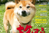 犬との旅のイロハ…必要な準備、しつけ、体験談 画像