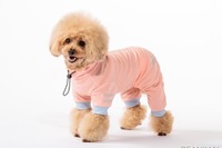 虫対策ができる犬用ペットウェア、夜間の車も考慮 カインズが発売 画像