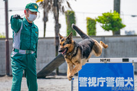 【働く犬】警備犬…犯人制圧や災害救助など幅広い任務［インタビュー］ 画像