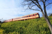 急行型の「走るレストラン」が終了へ…いすみ鉄道のキハ28形引退に伴ない 9月限り 画像