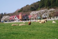 ダムの内部、監査廊を歩く! 社会科見学ツアー 7月30日・8月20日に実施 画像