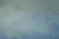 フロントガラスのキズ&ヒビ割れを補修する ~Weeklyメンテナンス~ 画像