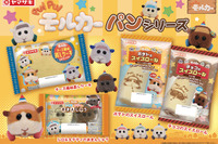 可愛さモルだくさんのパンシリーズ「PUI PUI モルカー」が登場 画像