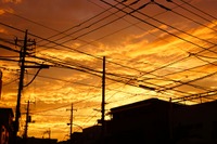 災害時に電柱が道路を閉塞するおそれ、移転を「勧告」できる制度がはじまる 画像