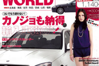 愛車のために自分でできること 画像