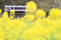西九州新幹線、佐賀空港ルートの技術的な精査へ…JRローカル線存廃は国の対応を検討 国交相会見 画像