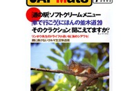 雨の日、安全に走るための7か条 画像