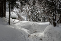「豪雪地帯対策基本計画」を見直し、冬期の交通確保に向けて除排雪体制を整備 画像