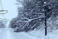 復旧作業が難航する信越本線…大雪による倒木 12月21日の鉄道運休情報 画像
