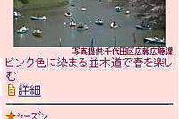 まっぷるガイドで「お花見特集」を配信 画像