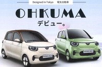 中国製EVと太陽光発電をセットで提供、事業を検討 画像