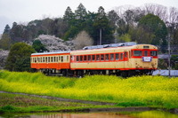 国鉄急行型気動車の営業列車がついに消える…いすみ鉄道のキハ28 2346 今後は国吉駅で保存 画像
