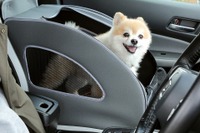 愛犬に優しいホンダ車や純正アクセサリーを紹介予定…インターペット2023 画像