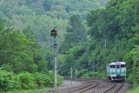 根室本線・富良野~新得間の廃止が事実上決定…輸送密度200人未満の「赤線区」がすべて消滅へ 画像
