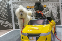 N-BOXとフリード+で愛犬に優しく飼い主に便利なクルマの使い方、ホンダアクセスが提案…インターペット2023 画像