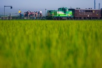JR北海道が「黄線区」改善へ向けた調査・実証…バスと連携、観光線区を利用拡大 6月以降 画像