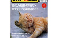 まっすぐバックできない、フラフラ走行のクセを治す 画像