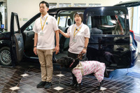 盲導犬のタクシー乗車拒否ゼロを目指す取り組み…日本盲導犬協会と東京タクシーセンターがコラボ 画像