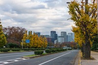 日本の移動問題解決へ、モビリティプラットフォーム事業者協議会設立 画像