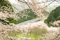 高速バスの車窓からお花見! WILLER EXPRESS 乗務員が教えてくれたスポット5選 画像