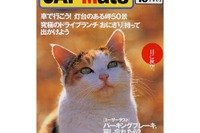 中国13億人、マイカー時代への加速 画像