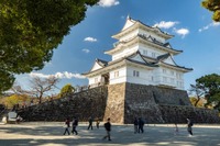小田原城址公園で『WHILL』レンタル開始…広い園内の徒歩散策に不安なら 画像