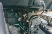 ネコバンバンでトラブル回避、JAFへの救援要請は夏が多い! 画像