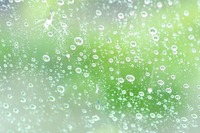 『バッチバチに撥水させたい!』雨の日の視界を劇的に改善、ガラス撥水剤の選択と施工のコツ~Weeklyメンテナンス~ 画像