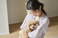 「愛犬を旅行に連れていきたい」96.3%、コロナ禍より旅費は増えた…ペットツーリズム需要調査 画像