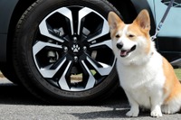 どこ行きたい? 愛犬とのお泊まり旅行、意外と多いかも…あると便利なワンちゃんカーグッズ 画像