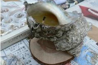 【夏休み】首都高山手トンネル、開通前区間のドライビングシミュレ−タ− 画像