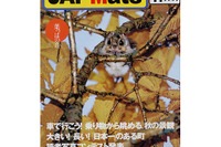 目立つ色、目立たない色……時間によって違うんだ 画像