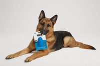 VW『ID. Buzz』に着想した「犬用おもちゃ」、ルーツは50年前の「タイプ2」に 画像