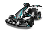 宮崎「シーガイア」にサーキットがオープン! セグウェイの「電動ゴーカート」を日本初導入 画像