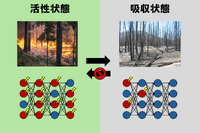 アイシンや東京大学、ディープラーニングに統計物理学の普遍法則を発見 画像