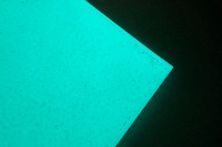 災害時誘導用「蓄光シート」、日本初となる路面施工…屋外路面での耐久性 画像
