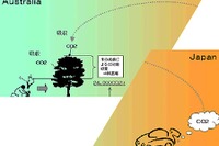 【新聞ウォッチ】コスモ石油、ガソリン入れると「CO2」排出量のオマケ付き 画像