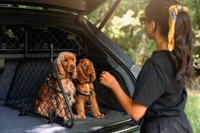 ベントレーのSUV『ベンテイガ』専用、ペットアクセサリーコレクション発表…特注ドッグガードなど 画像