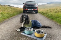 いすゞ『D-Max』で愛犬とアウトドアを楽しむ、公式アクセサリー英国発表…「Ruffwear」とコラボ 画像