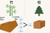 竹由来の複合素材を開発、自動車部品などに活用へ…矢崎総業 画像