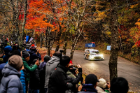 ラリージャパン2025の特別観戦プログラム、VIP体験やチームとの交流も…PIA DAIMANIが発売 画像