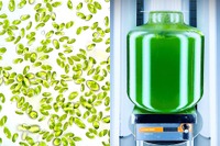 デンソーが開発に参画、微細藻類「コッコミクサKJ」使用のサプリメント展示へ…FOOD STYLE JAPAN九州 画像